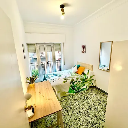 Centro - 7 *